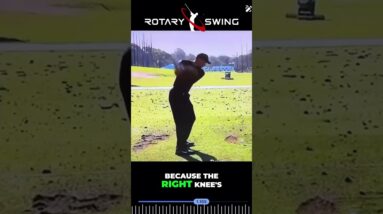 Tigers Check Swing - What Can You Learn From It