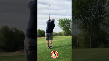 Golf Fails & Wins: From Awkward Lies to Near-Perfect Putts!