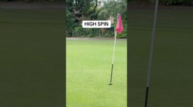 HIGH VS LOW SPIN 😍