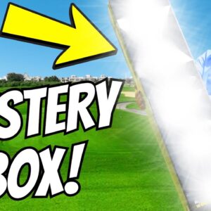 I Got Sent Me A CRAZY MYSTERY BOX With A BRAND BEE CLUB IN!?
