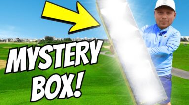 I Got Sent Me A CRAZY MYSTERY BOX With A BRAND BEE CLUB IN!?