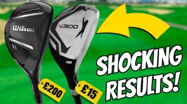 INCREDIBLE $20 Budget vs $250 BIG NAME Hybrid - CRAZY RESULTS