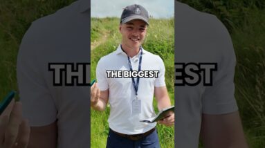 Meet every Open player's best friend, the Royal Portrush Strokesaver!