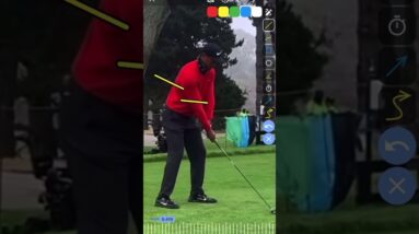 Wonder What Your Arms Should Do In The Golf Swing?