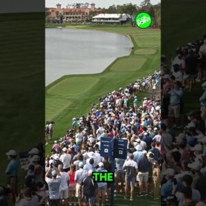 Why the closing stretch at TPC Sawgrass is PERFECT for television! #golf #theplayers