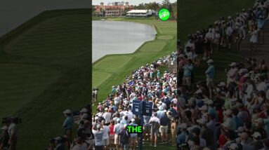 Why the closing stretch at TPC Sawgrass is PERFECT for television! #golf #theplayers