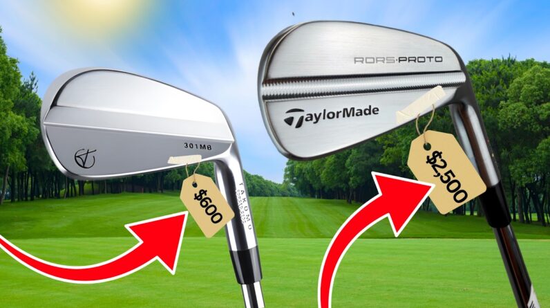 My BUDGET Takomo 301 Irons vs RORY'S TaylorMade Irons!