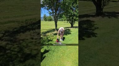 Every golf club needs a beer tree!