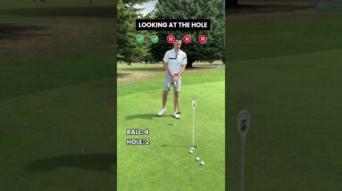 Do you look at the ball or the hole when you putt?