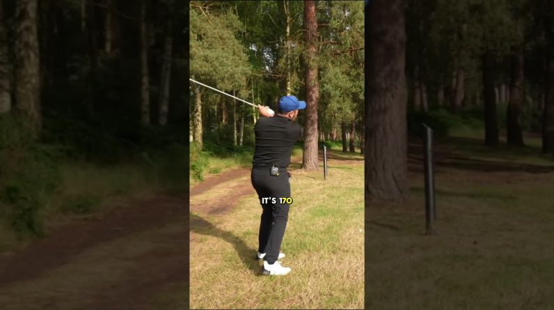 This was NEARLY perfect 😫  #golf