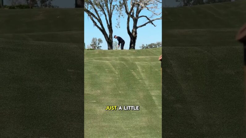 This putting green is RIDICULOUS 🤯
